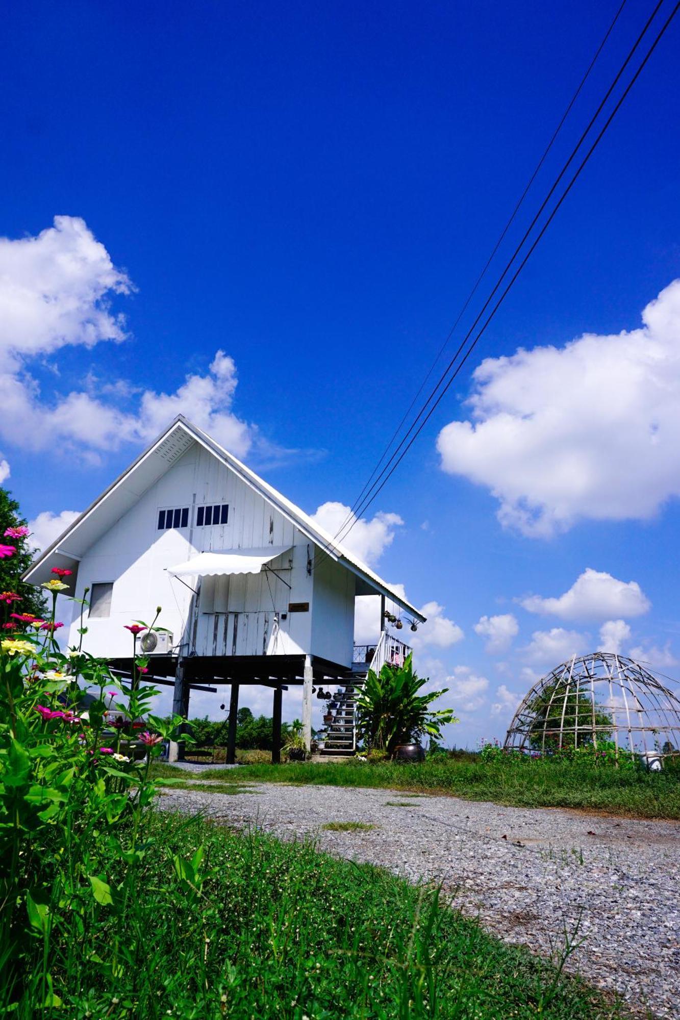 The 99 Cottage スパンブリー エクステリア 写真